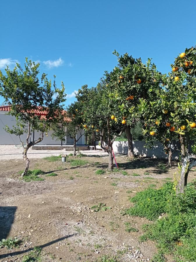 Vila Avocado House Finikounda Exteriér fotografie