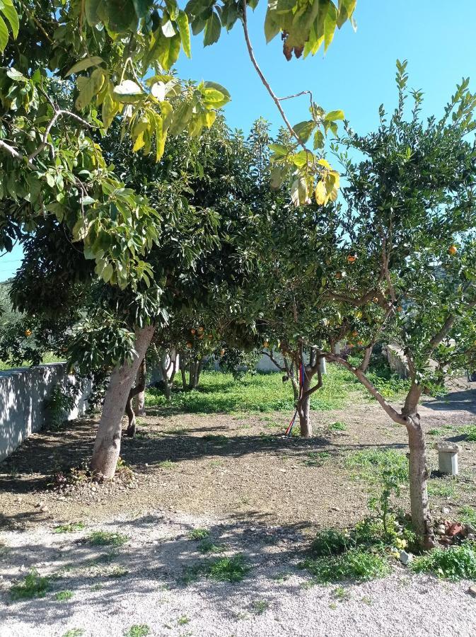 Vila Avocado House Finikounda Exteriér fotografie