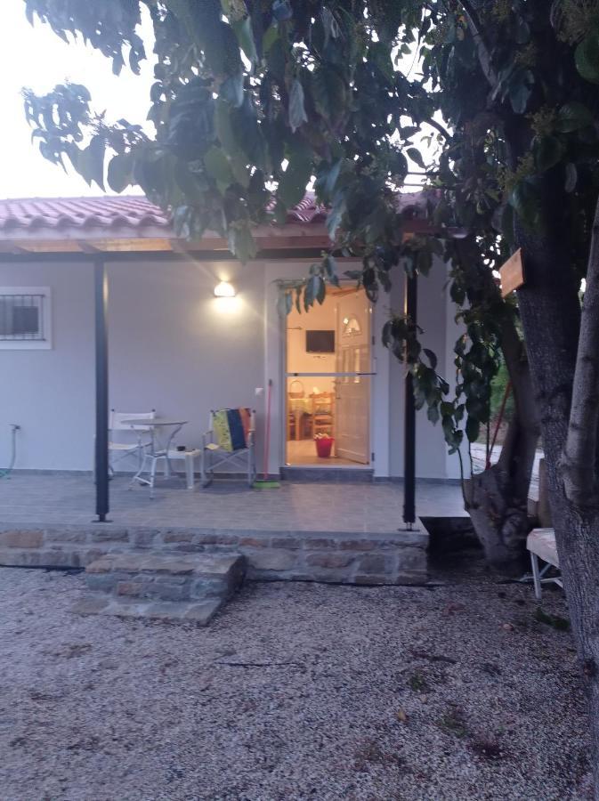 Vila Avocado House Finikounda Exteriér fotografie