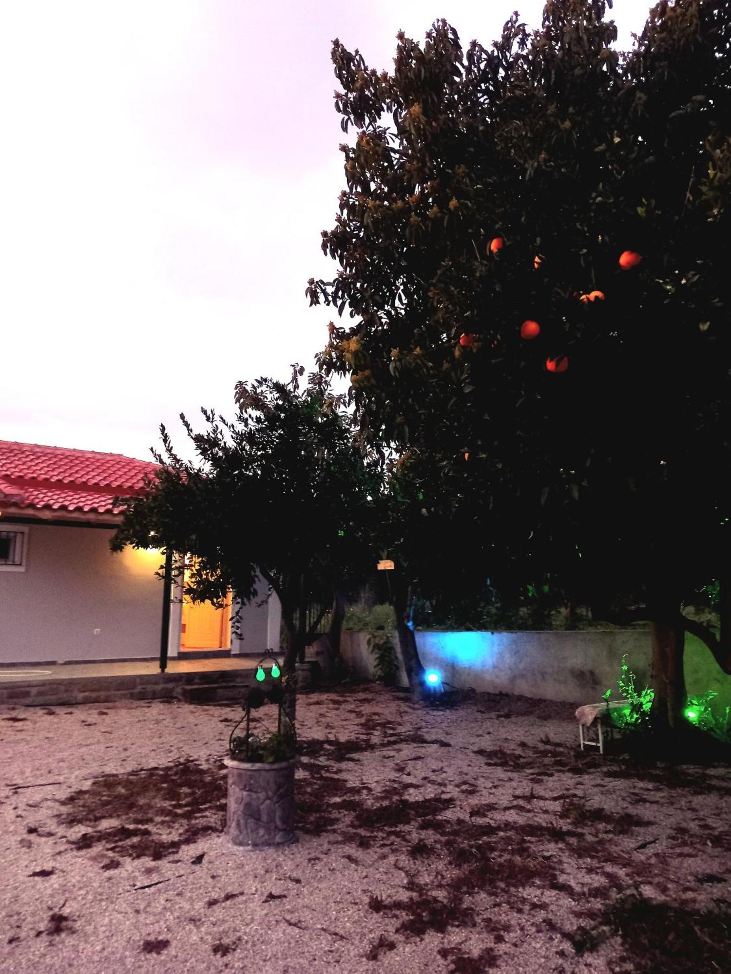 Vila Avocado House Finikounda Exteriér fotografie